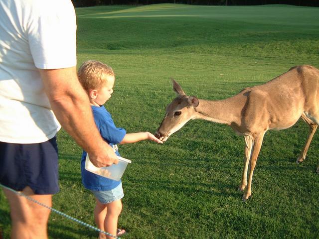 2003/08(Aug)/3(babysitting)/640x480_2003-08-18 19-10-57.JPG